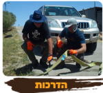 חנות - הדרכות