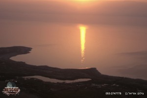 חוצה ישראל 2016