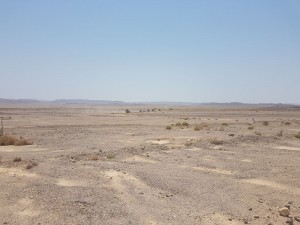 חוצה ישראל